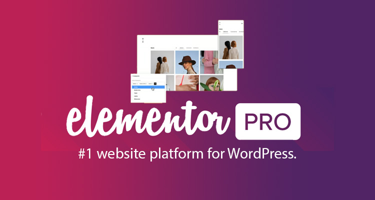 Elementor Pro