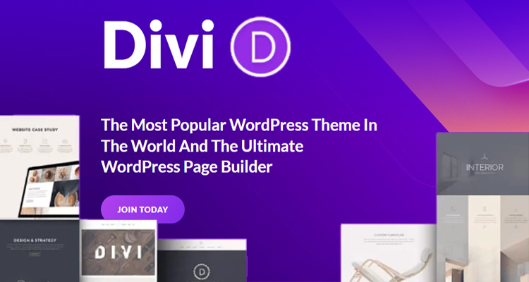 Elegant Themes The Divi Builder 4.24.2