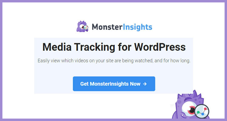 MonsterInsights Media Tracking Addon