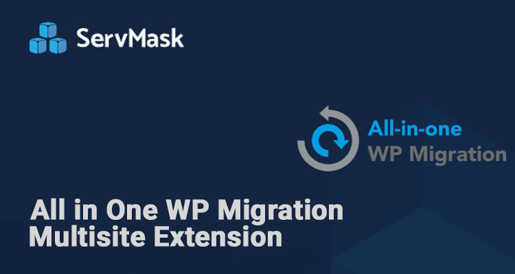 All In One WP Migration Multisite Extension